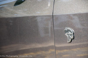 Dodge Charger SRT Hellcat Redeye Widebody Symbol